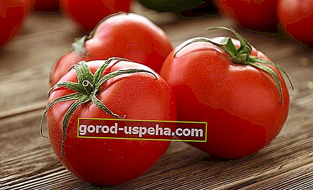 Skladujte svoje paradajky dobre
