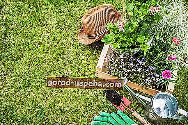 Păstrați-vă grădina cu produse naturale
