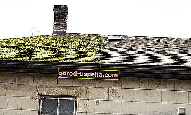 Nasveti za odstranjevanje mahu s strehe