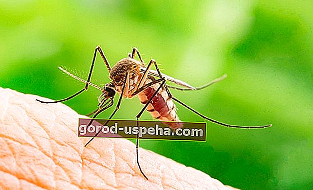 Lijekovi protiv komaraca