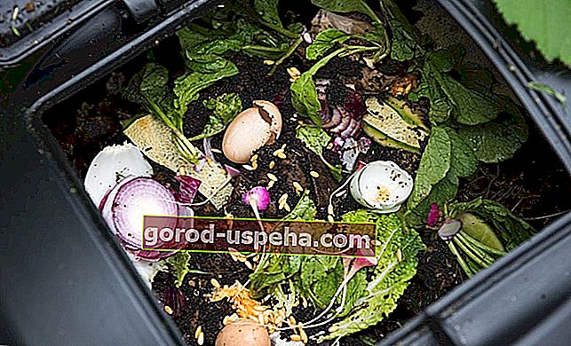 Hrana koja se može kompostirati
