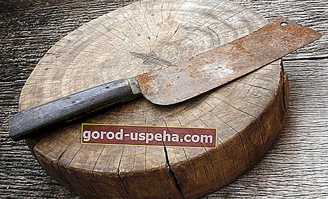 Практически съвети за премахване на ръжда от нож