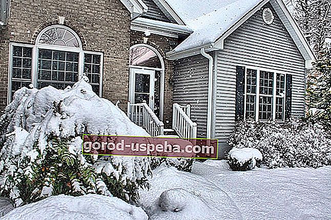 Предпазвайте къщата от студа през зимата